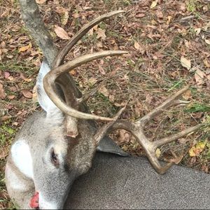 Meet your Posher, Jaden